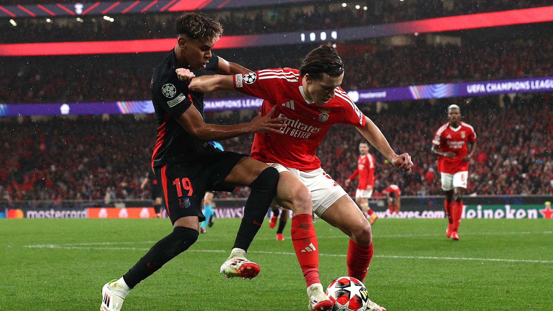 的内部气候 的内部气候