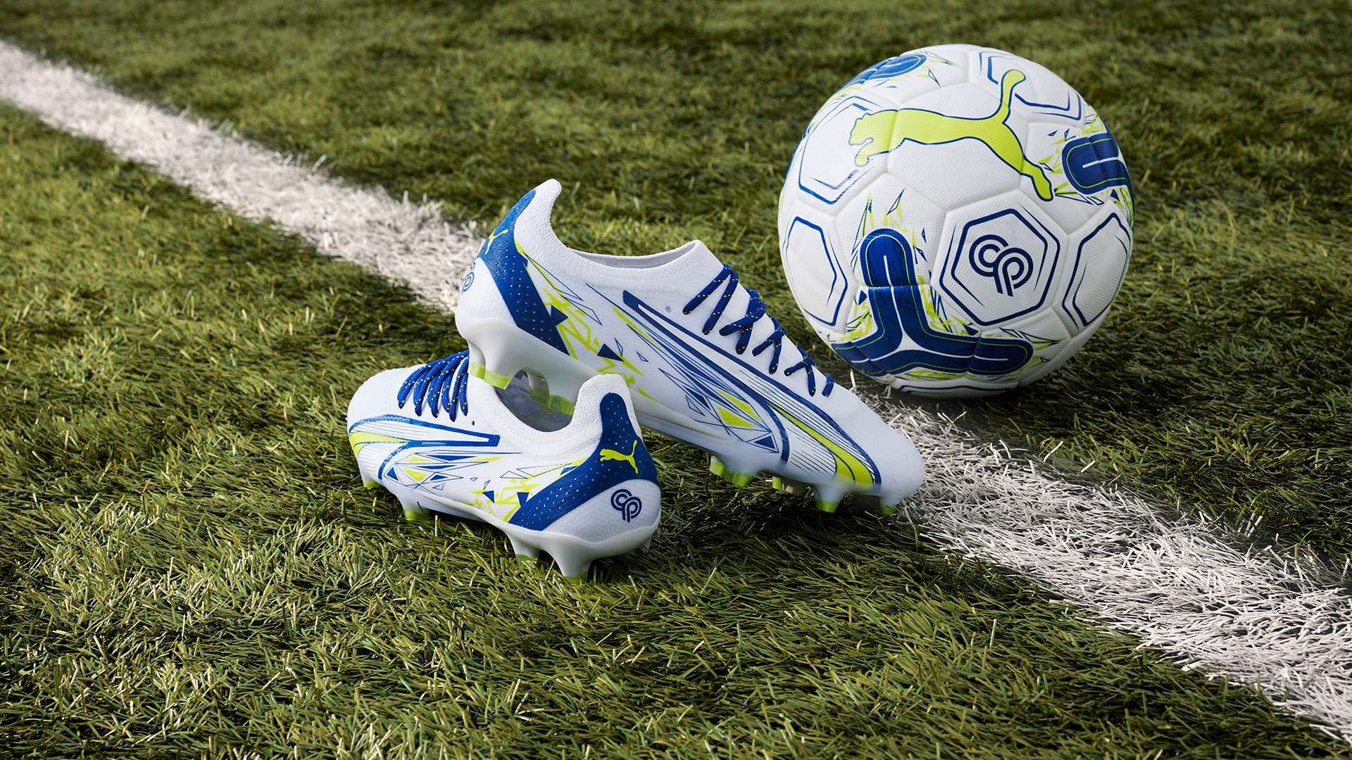 望能够增强 望能够增强