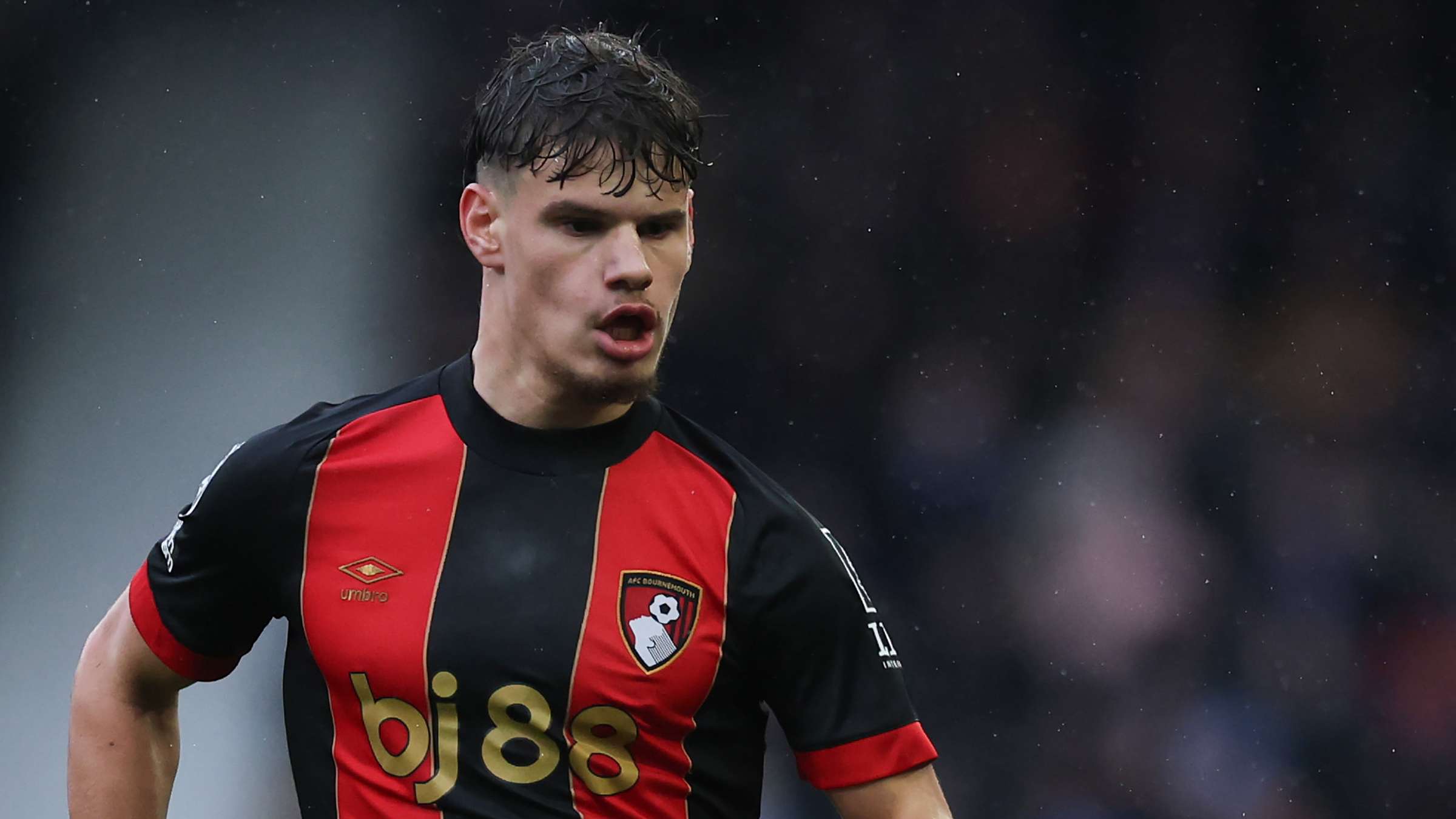 球迷们的情 球迷们的情