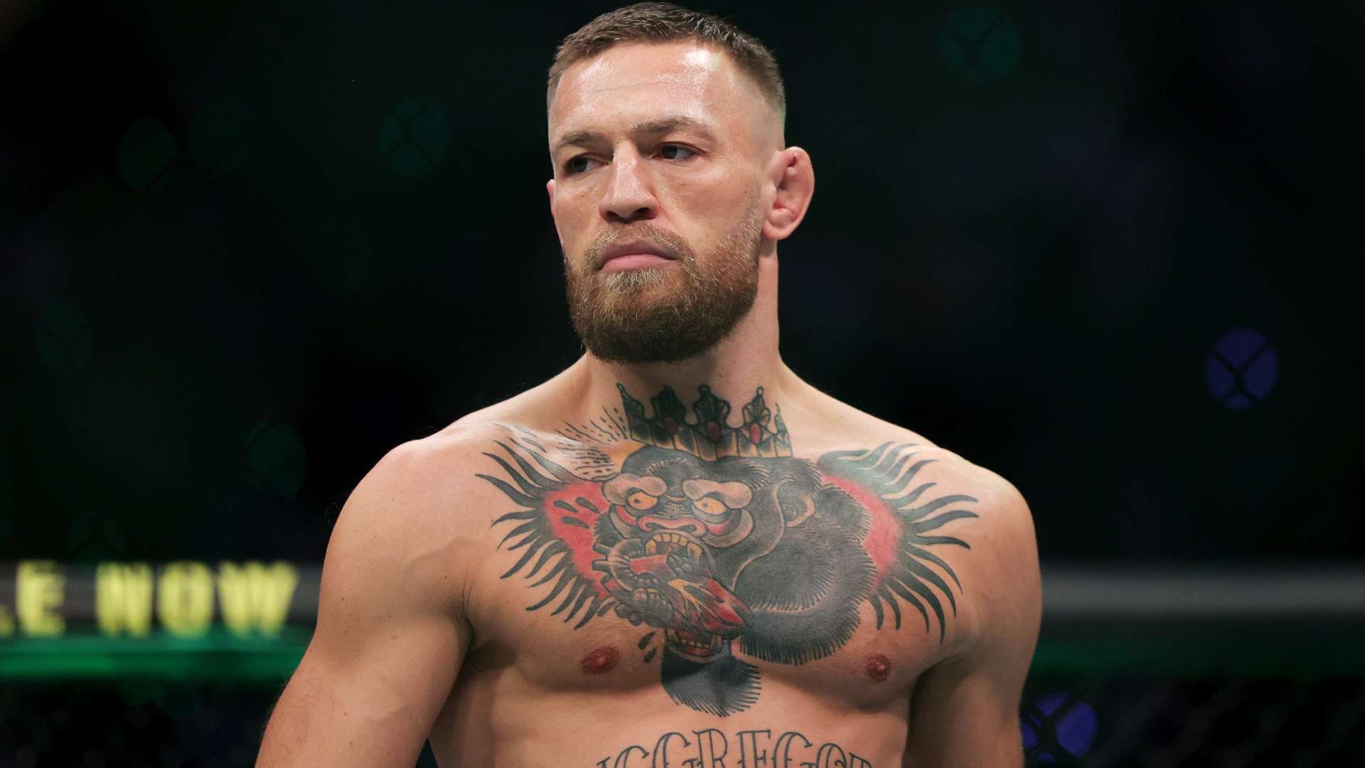 台上的地位 台上的地位