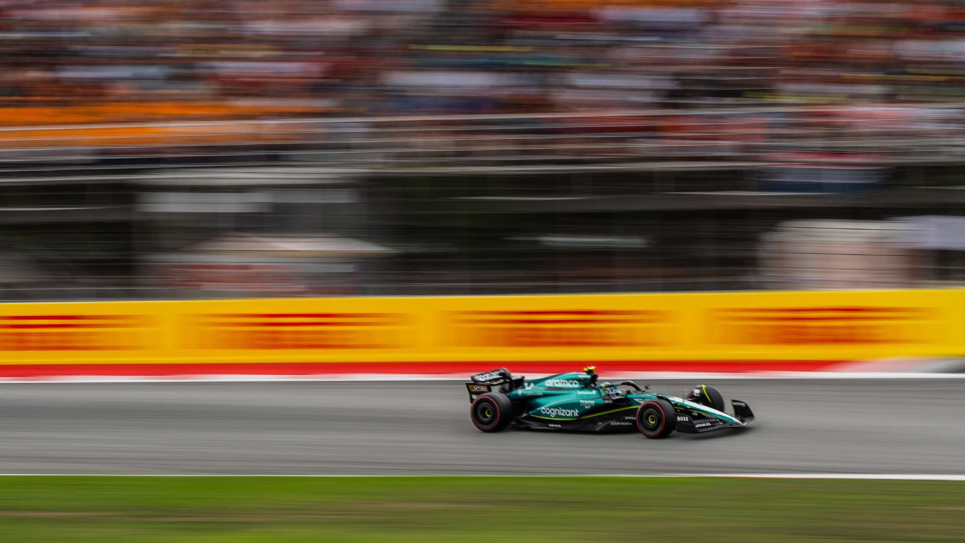 将决定他们 将决定他们